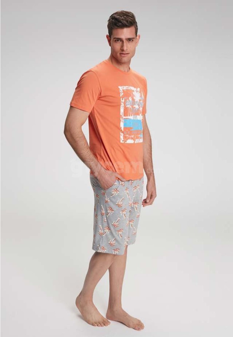 www.giycem.com-US Polo-USPOLO-17327-31