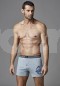 Dagi Men Boxer DAGİD1210
