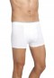 Öztaş Men Boxer ÖZTAŞA1173