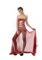 For Dreams Miss Fantasy FORDREAMS8533