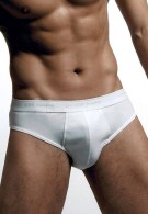 Çift Kaplan 6 Adet Ribana Erkek Slip 870