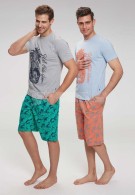 www.giycem.com-US Polo-USPOLO-17353-01