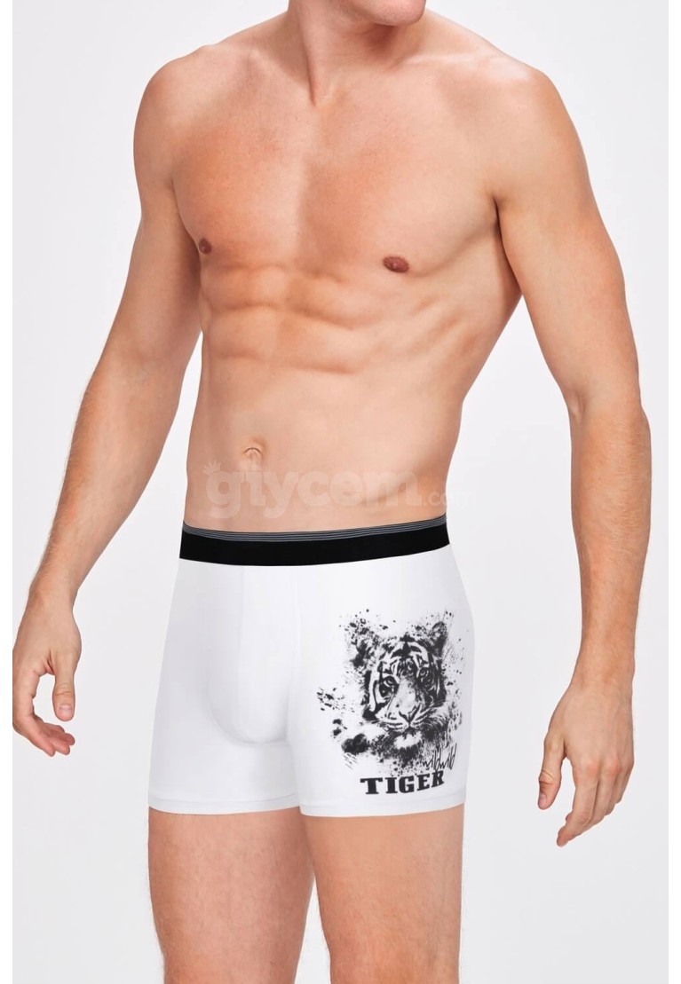 www.giycem.com-Kom-KOM-TIGER-31