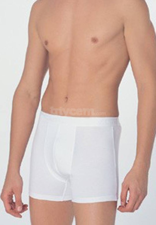 Anıl Erkek Boxer 0019