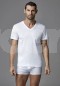 Dagi Cotton V Yaka T-Shirt  1530