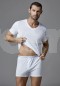 Dagi Modal V Yaka T-Shirt  3530