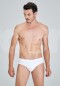 Kom Paul Slip 2 Li SL0800001
