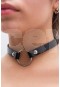 Vip Club Harness Tasma 1161