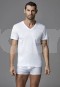 Dagi Cotton V Yaka T-Shirt  1530