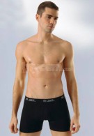 Anıt İç Giyim Erkek Boxer 1115