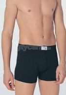 Anıl Erkek Boxer 0027