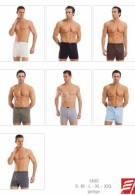 Erdem Erkek Boxer 1400