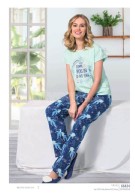 www.giycem.com-NBB-NBB-66434-01